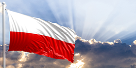 Insolvencias en Polonia: ¿Son los procedimientos de la reestructuración la solución? 